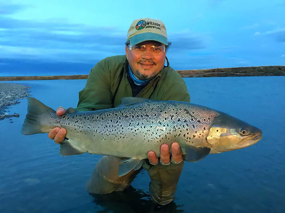 Holding a large salmon at dusk with calm waters in the background