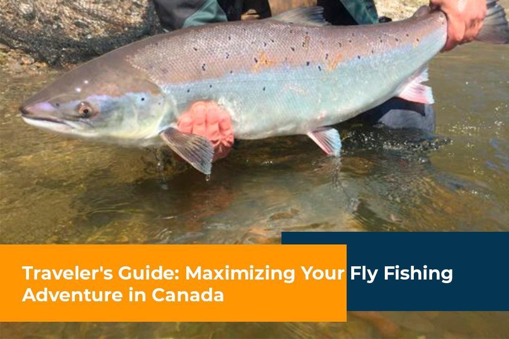 Traveler's Guide: Maximizing your Fly Fishing Adventure in Canada