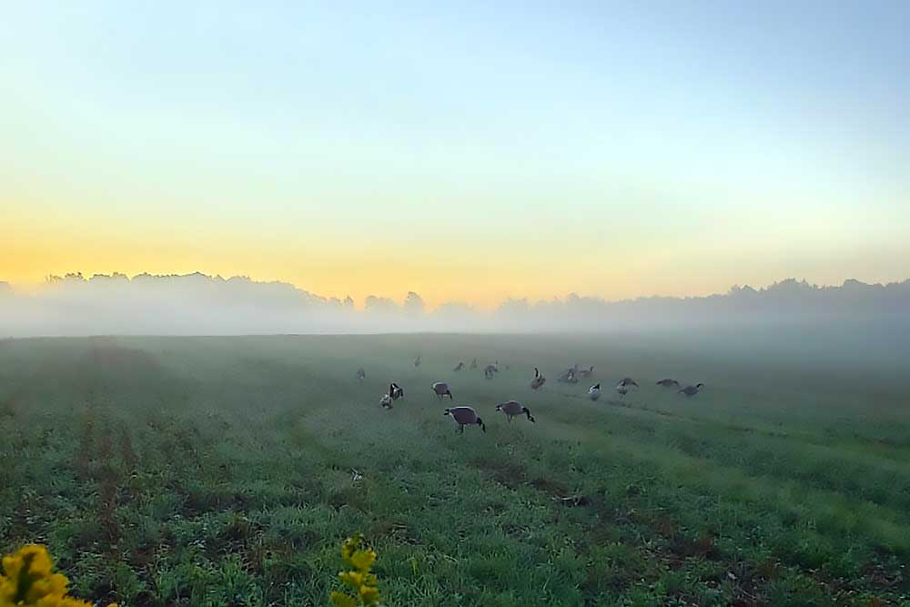 Waterfowl Hunting In The United States and Canada: A Complete Guide