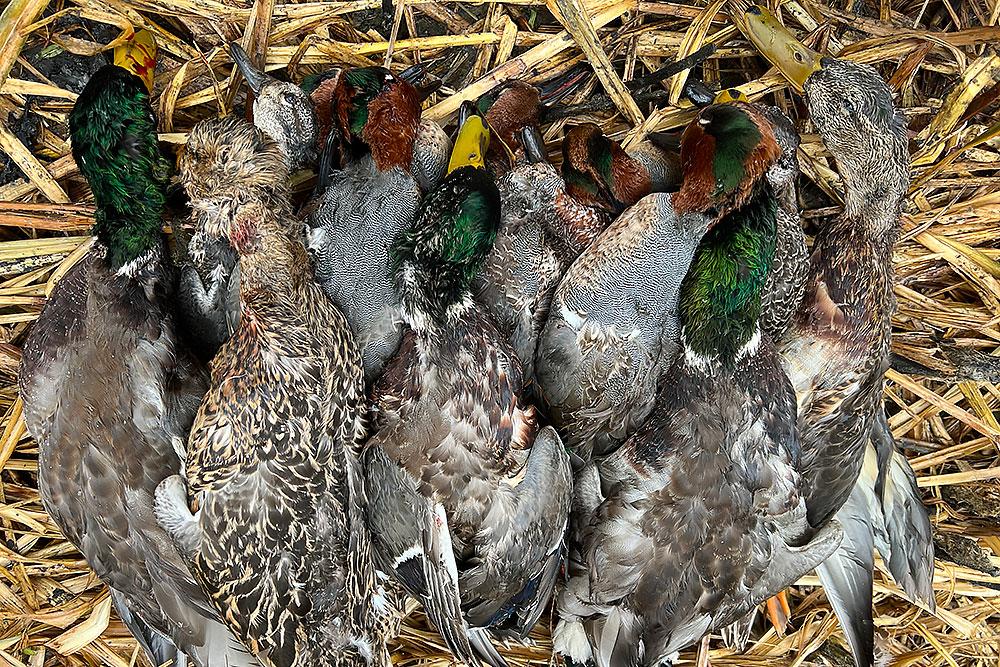 Waterfowl Hunting In The United States and Canada: A Complete Guide