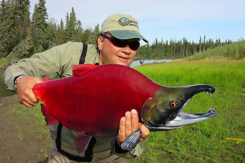 Aniak River Lodge Hosted Trip - Ultimate Alaskan Fishing Adventure