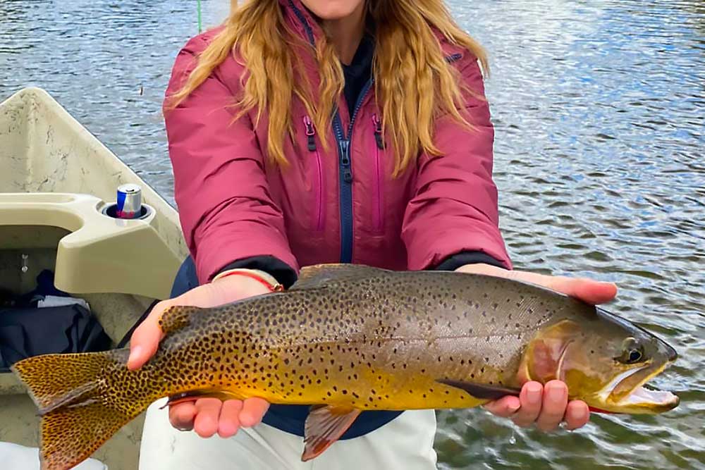 South Fork Lodge | Idaho Fly Fishing on the Snake River