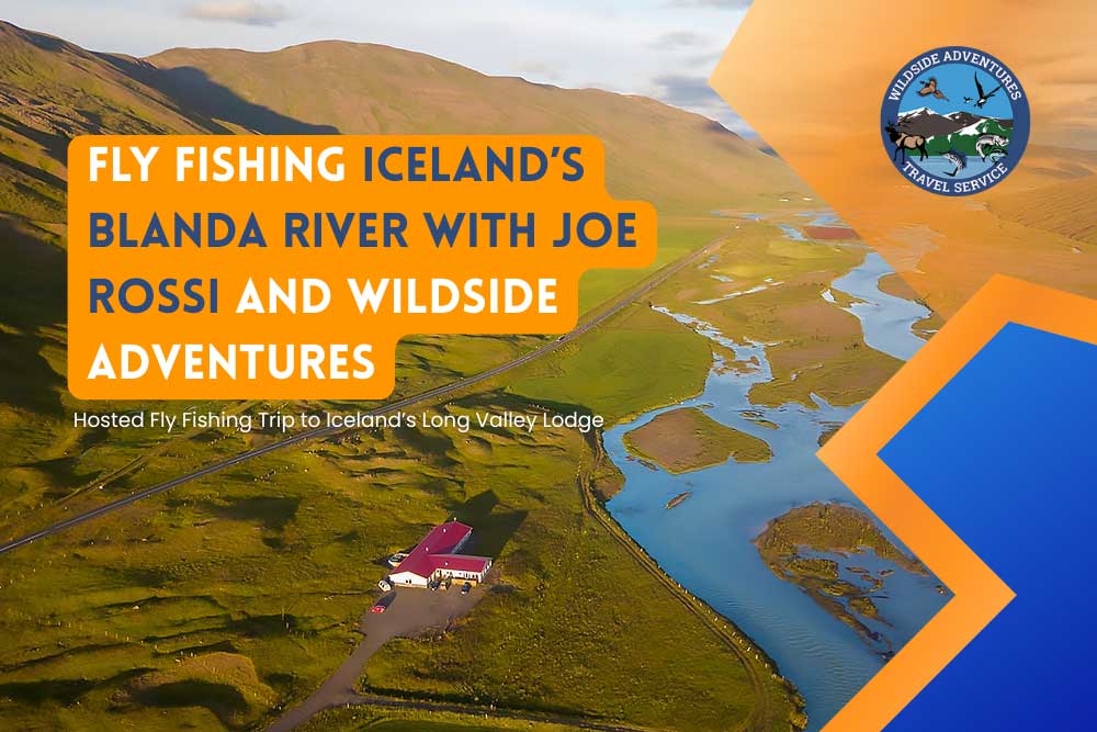 Aerial view of Iceland’s Blanda River winding through green fields and distant hills, with a small lodge near the riverbank. Text advertises a fly fishing trip with Joe Rossi and Wildside Adventures, plus info on Fly Castaway trips and fishing the Seychelles Islands. | Belize River Lodge Guided Fishing Trips | Wildside Adventures Travel