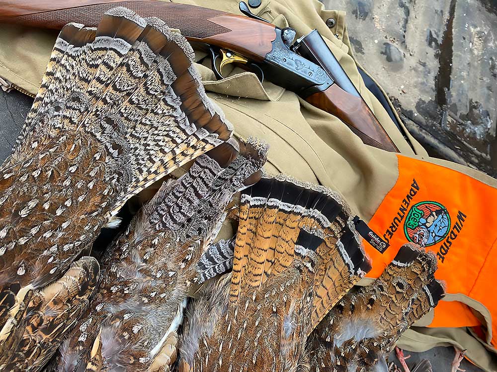 Flambeau-14 A close-up of game birds with brown patterned feathers, a break-action shotgun, and an orange vest with the text Wildlife Adventure and a wildlife logo visible. | Belize River Lodge Guided Fishing Trips | Wildside Adventures Travel