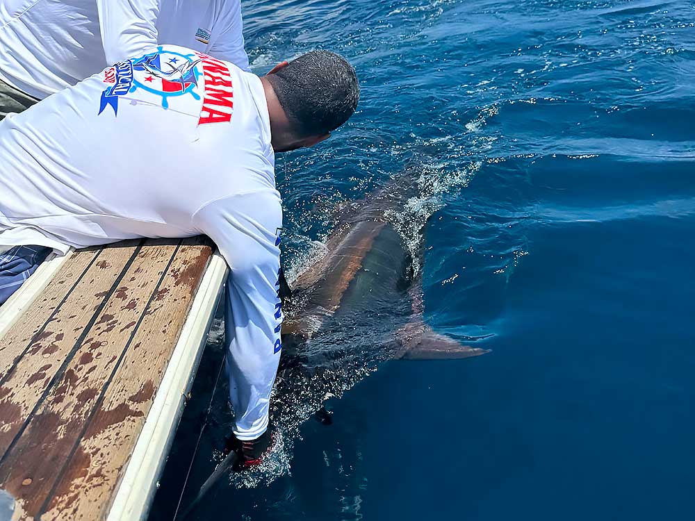 Selva-Terra-Resort-16